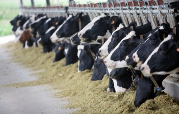 Progresszív genetika a jövő generációkért